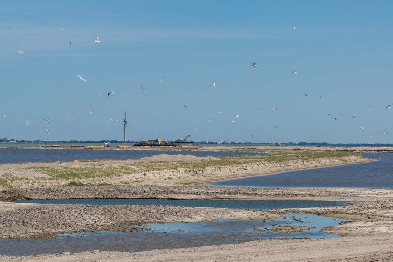 Marker-Wadden-Tweede-Eiland-2_14072017_Boskalis