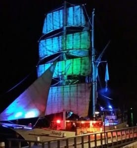 vuurwerkHoorn_sikkelerus-277×300