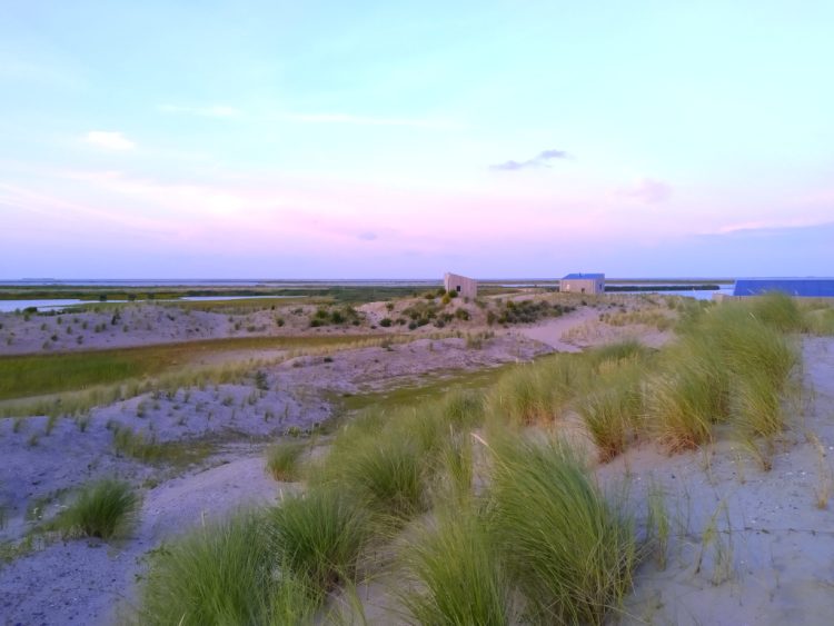markerwadden_groen_07