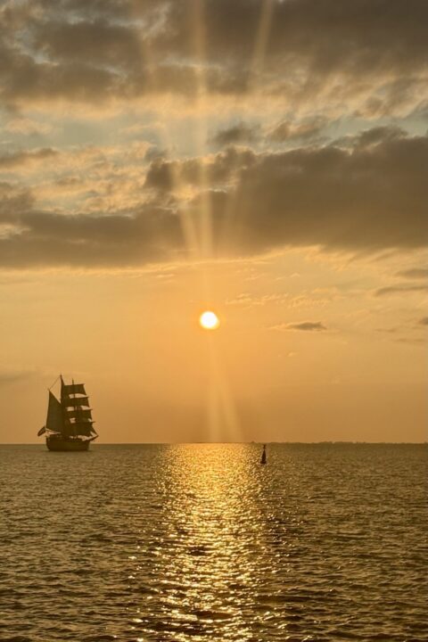 Bounty Nice Photo @Reinier van de Steenoven Bounty Nice Photo @Reinier van de Steenoven